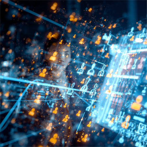 SAP User Licence Evolution