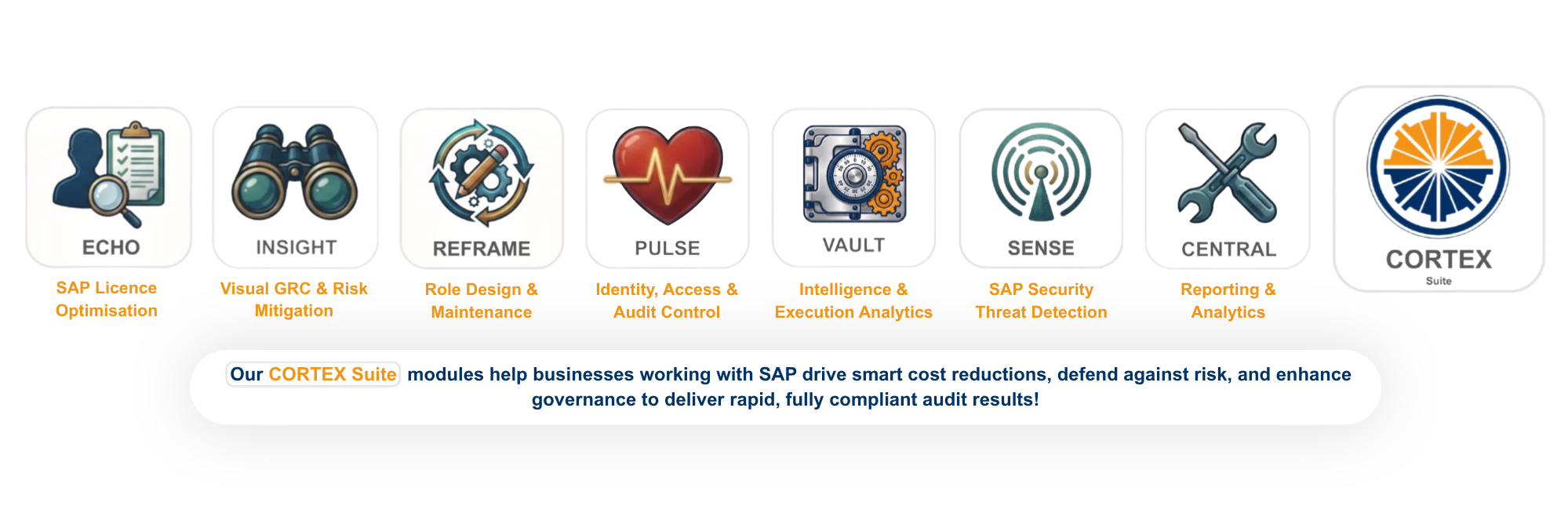 Overview infographic of the Tango CORTEX Suite modules for SAP including ECHO licence optimisation, INSIGHT visual GRC, REFRAME position-based role design, PULSE audit control, VAULT execution analytics, SENSE threat detection, and CENTRAL reporting.